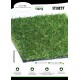 Green Eco Starty